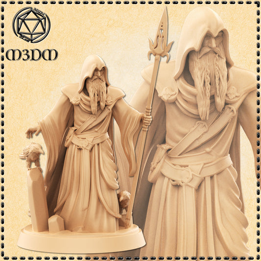 Dungeons & Dragons Odin Miniature