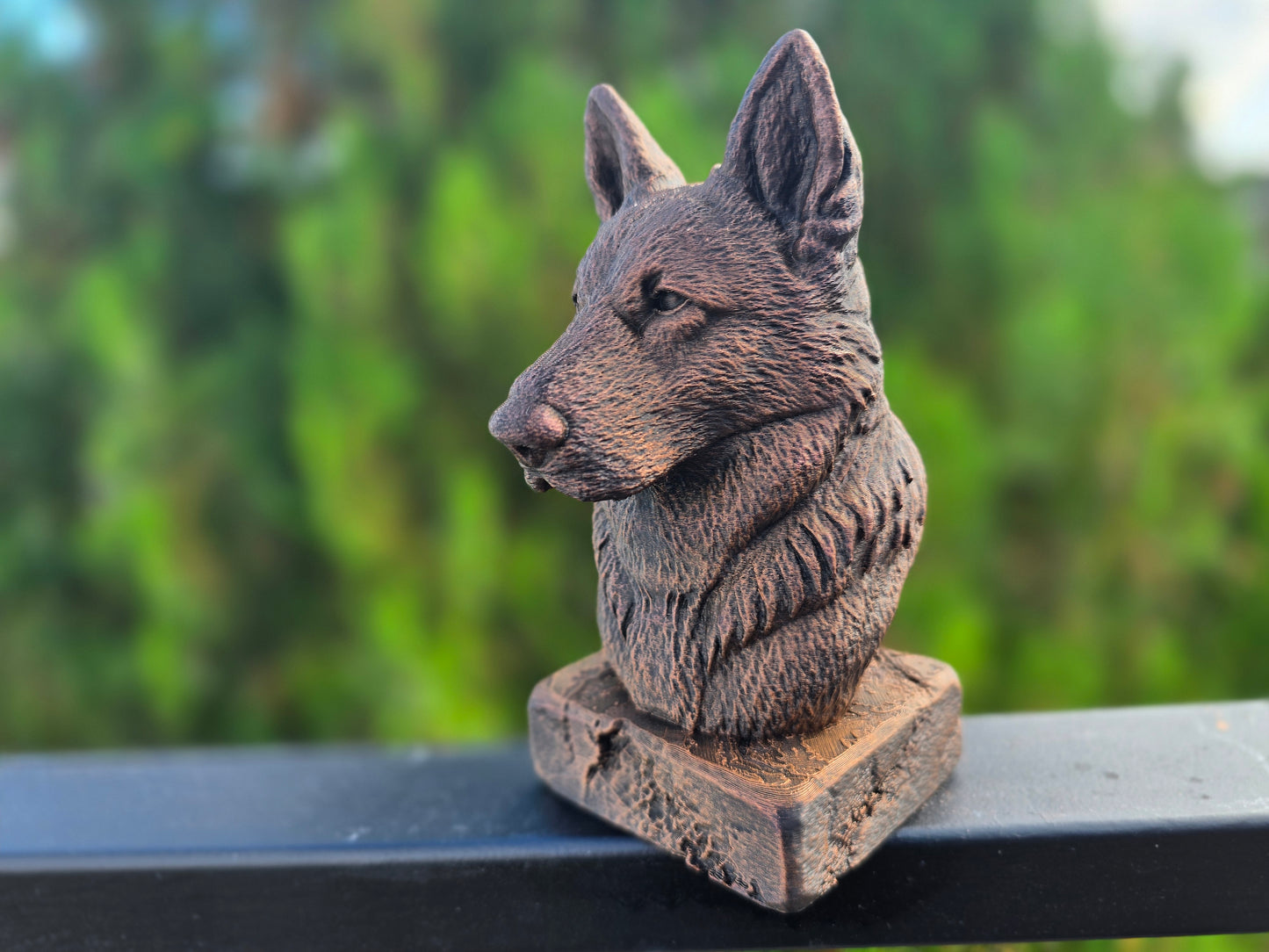 Old German Shepherd Bust