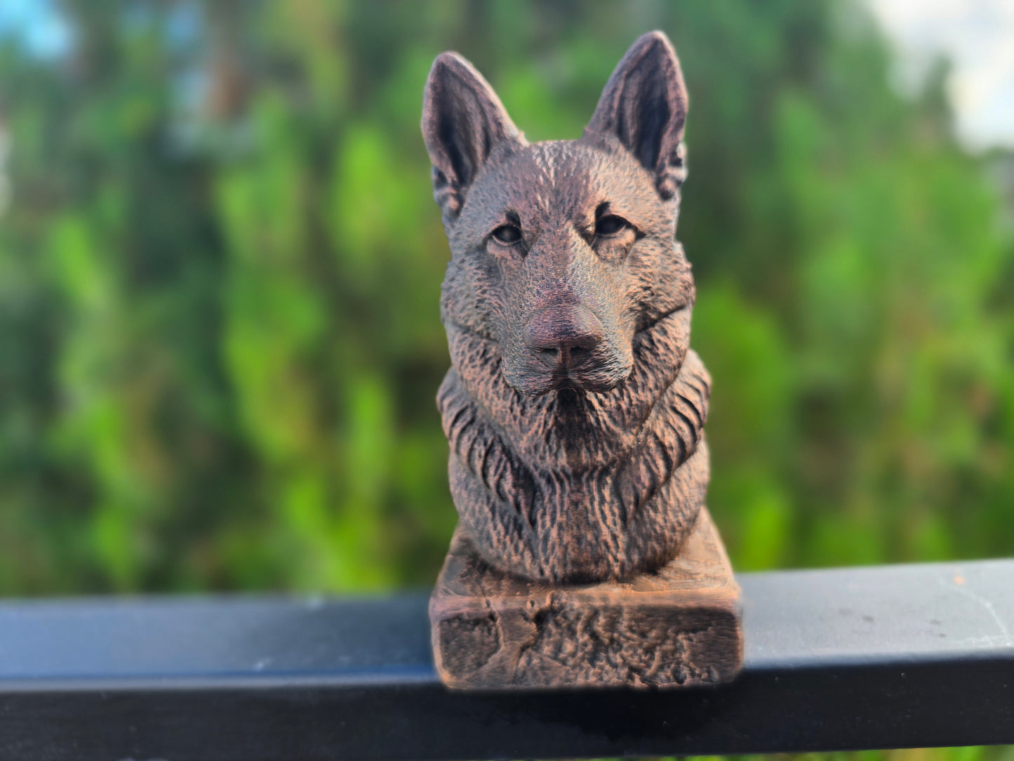 Old German Shepherd Bust