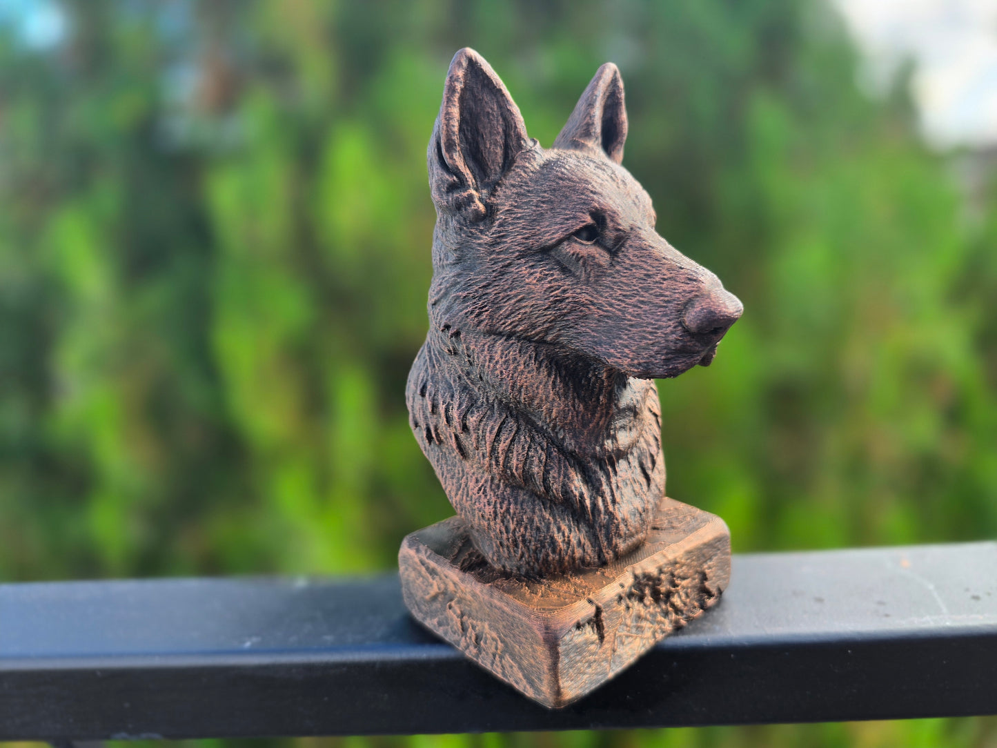 Old German Shepherd Bust