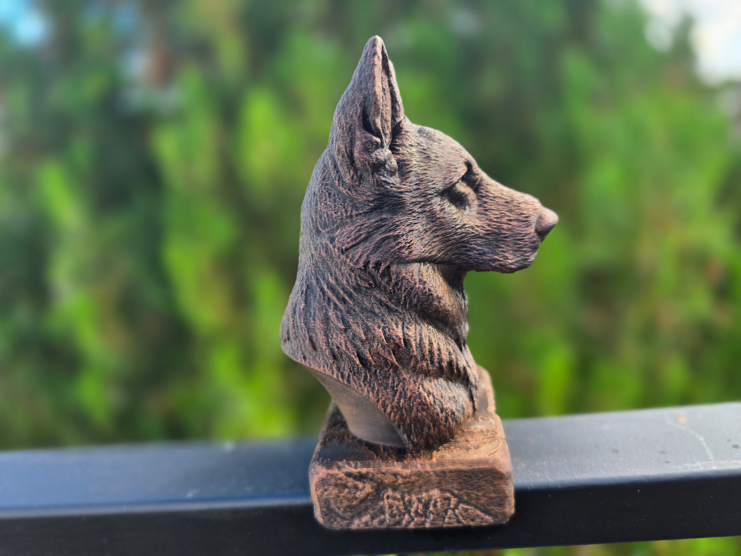 Old German Shepherd Bust