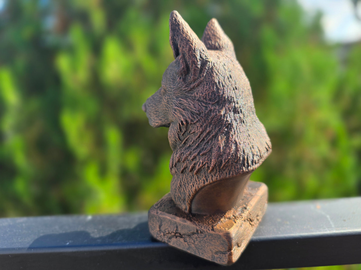 Old German Shepherd Bust
