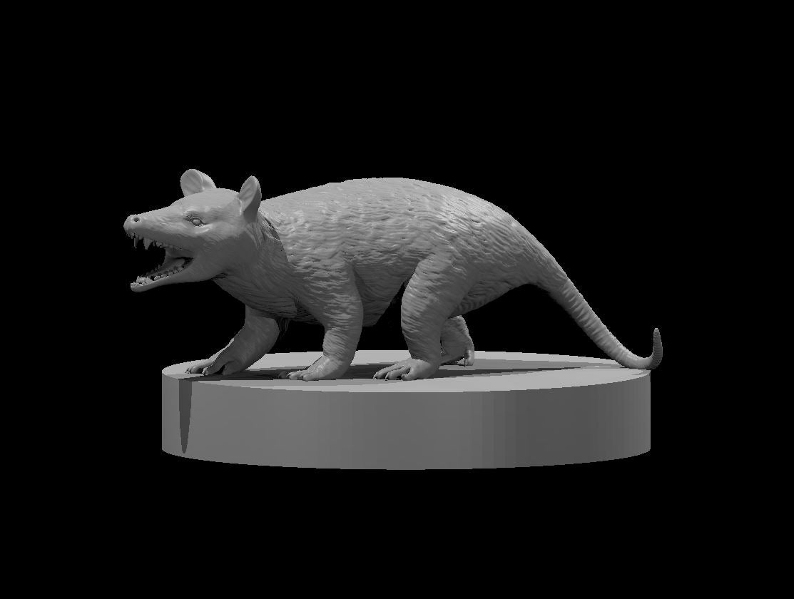 Dungeons & Dragons Opossum Miniature