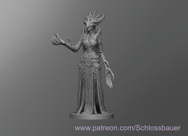 Dungeons & Dragons Ostiarius Miniature