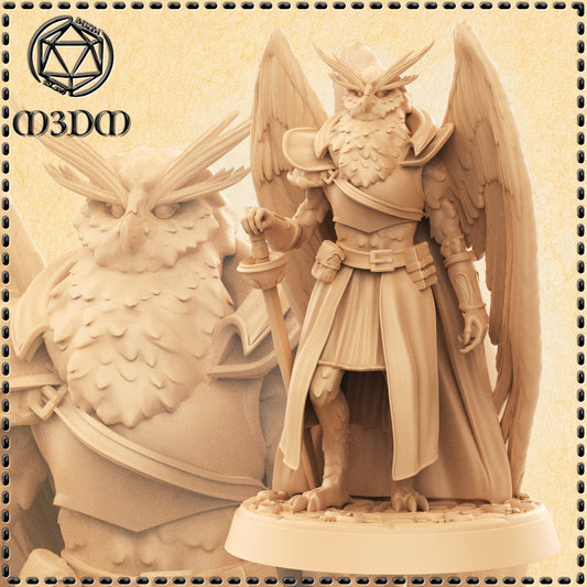 Dungeons & Dragons Owlfolk Warlock Miniature