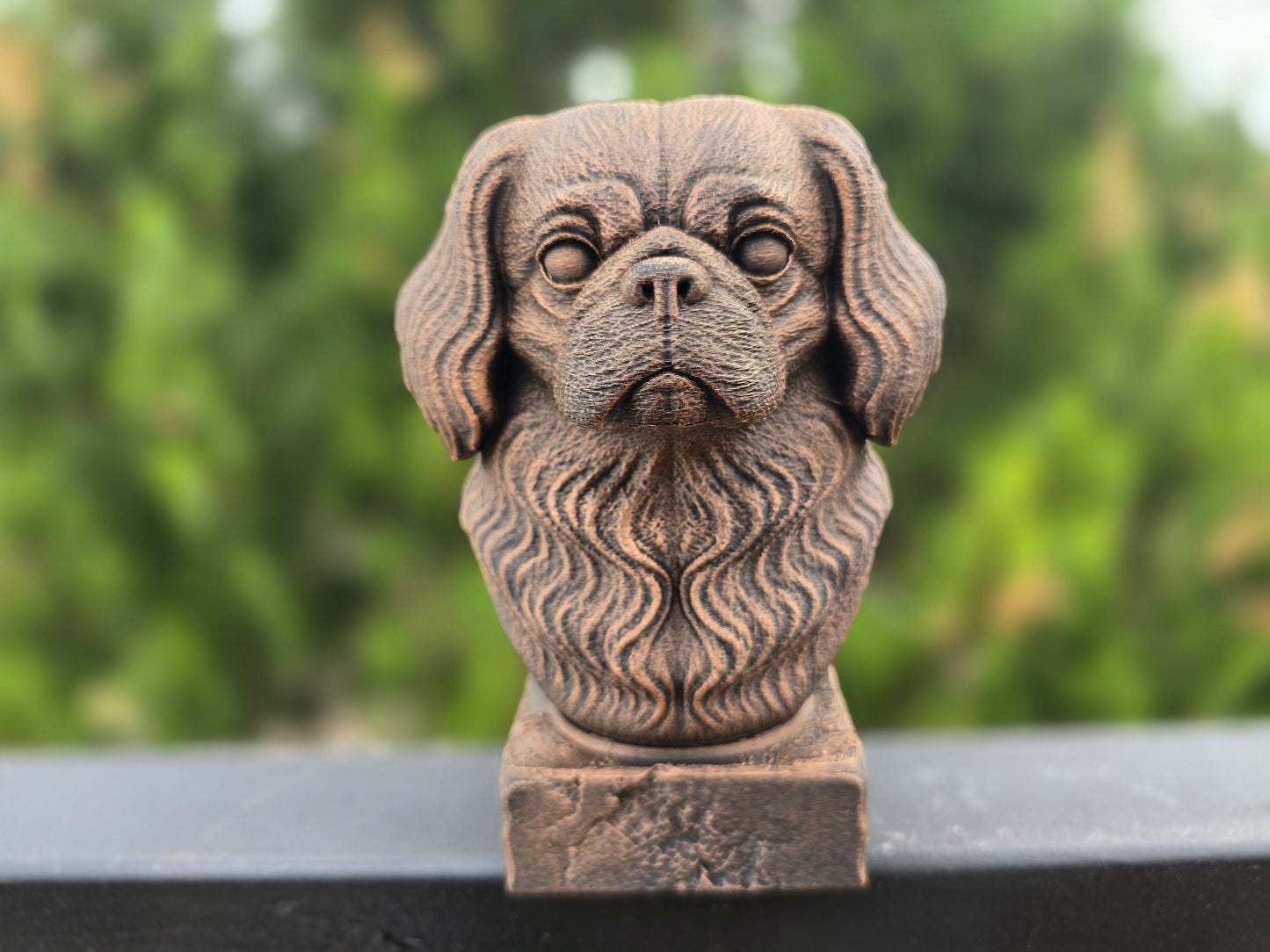 Pekingese Bust