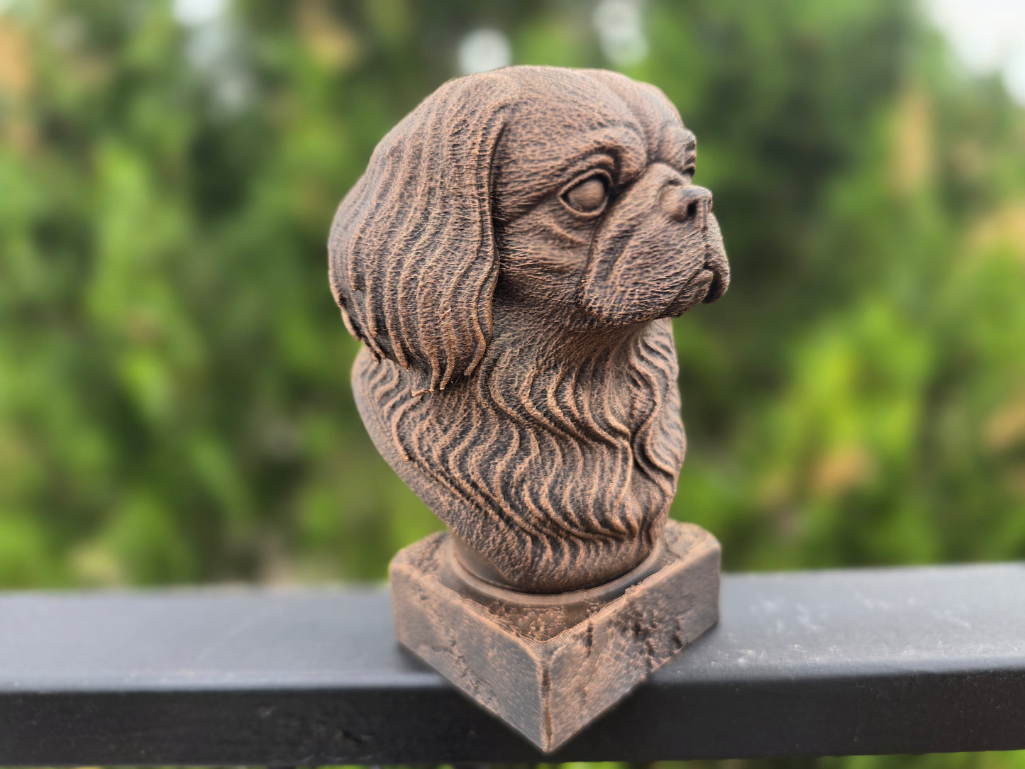 Pekingese Bust