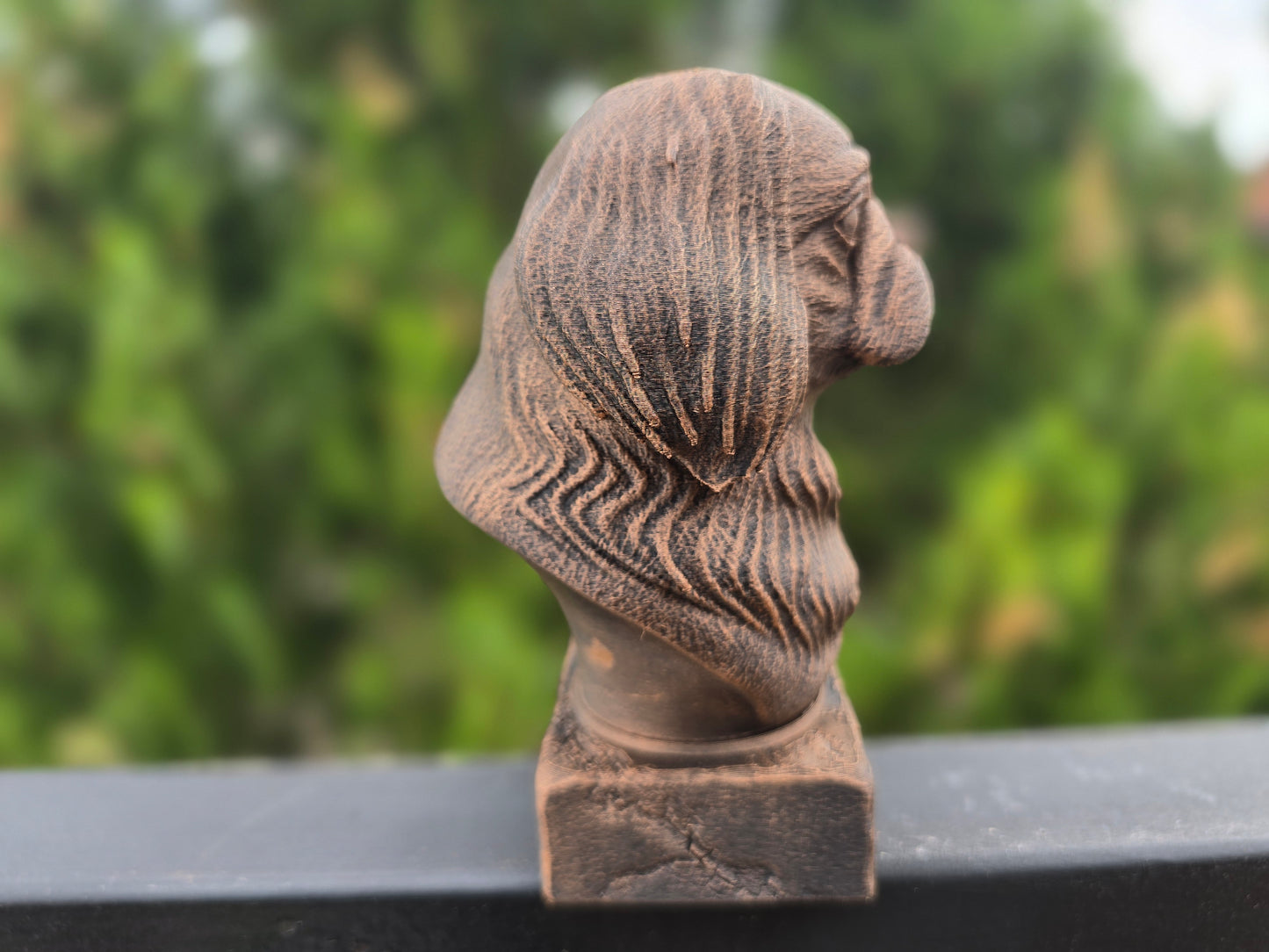 Pekingese Bust