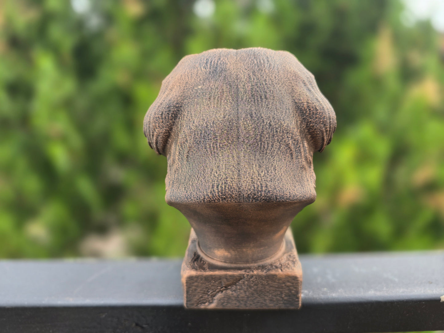 Pekingese Bust