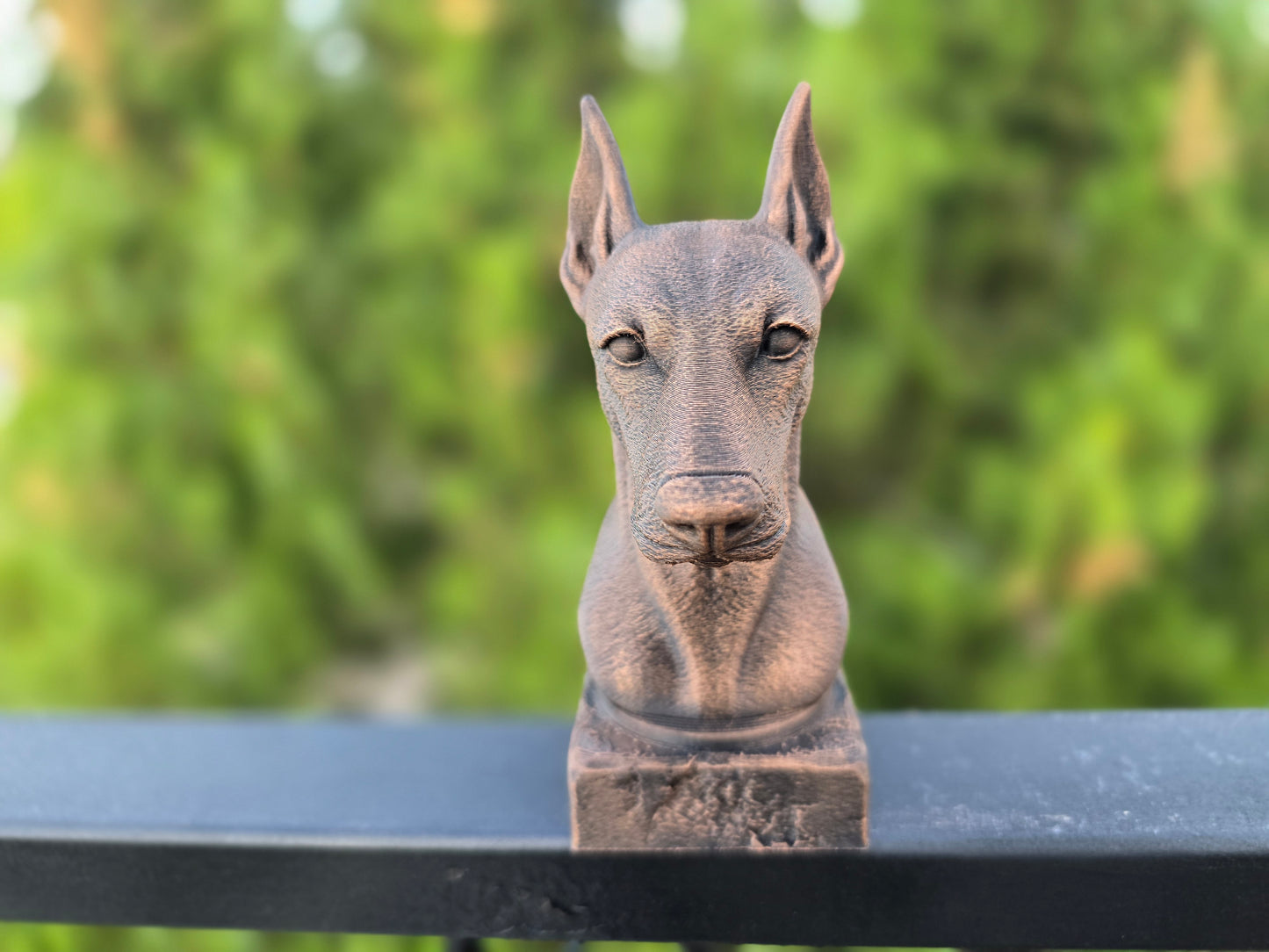 Pinscher Bust
