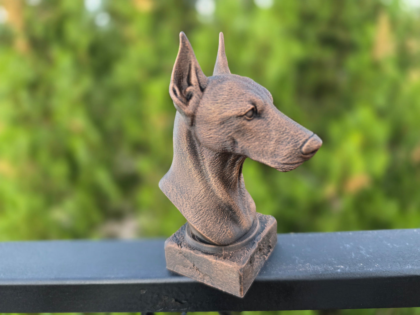 Pinscher Bust