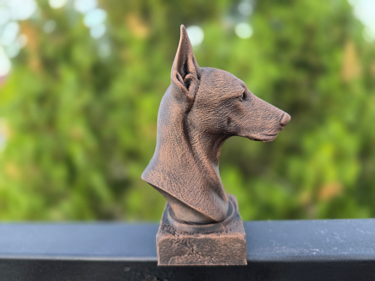 Pinscher Bust