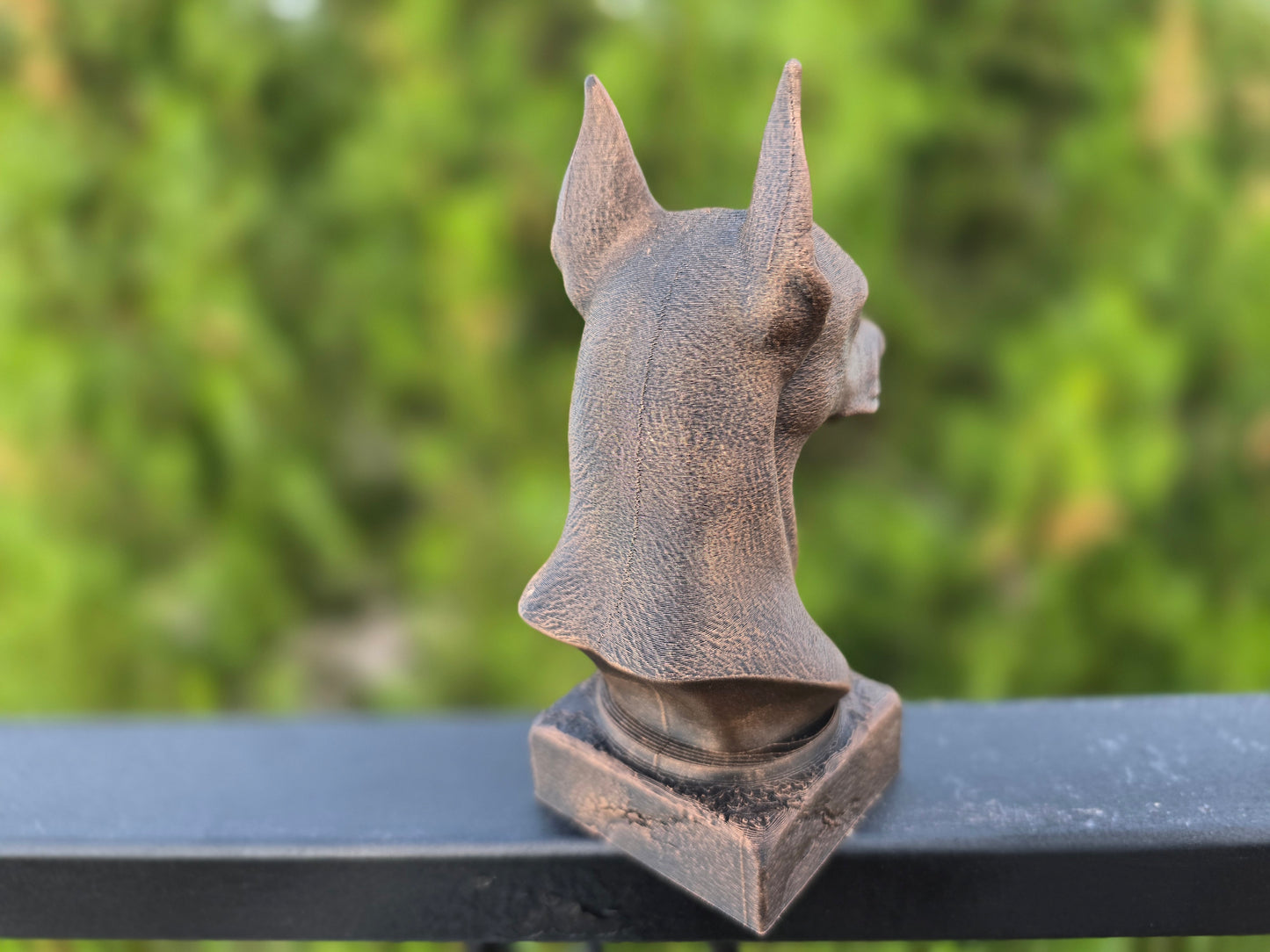 Pinscher Bust