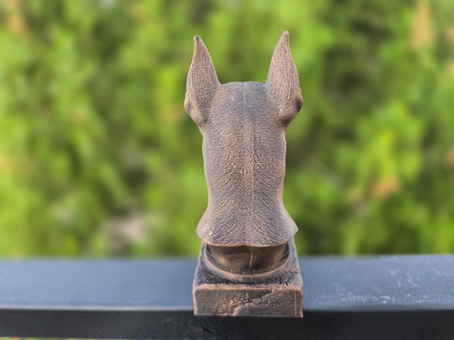 Pinscher Bust