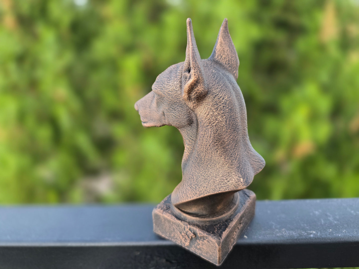 Pinscher Bust