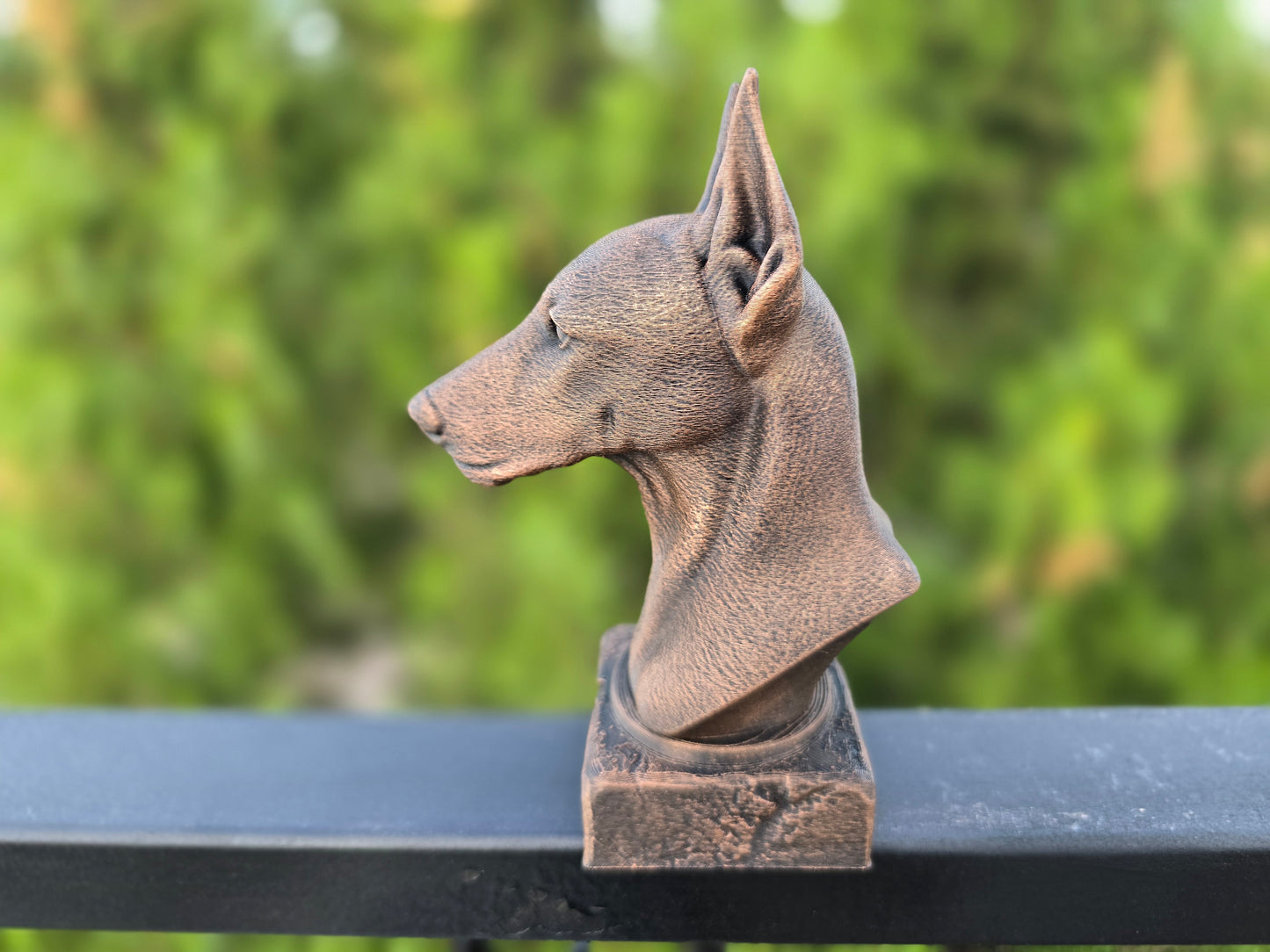 Pinscher Bust