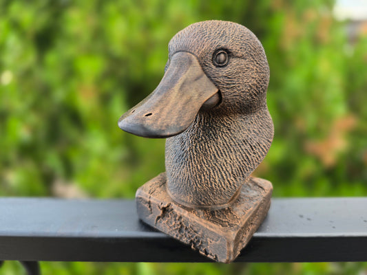 Platypus Bust