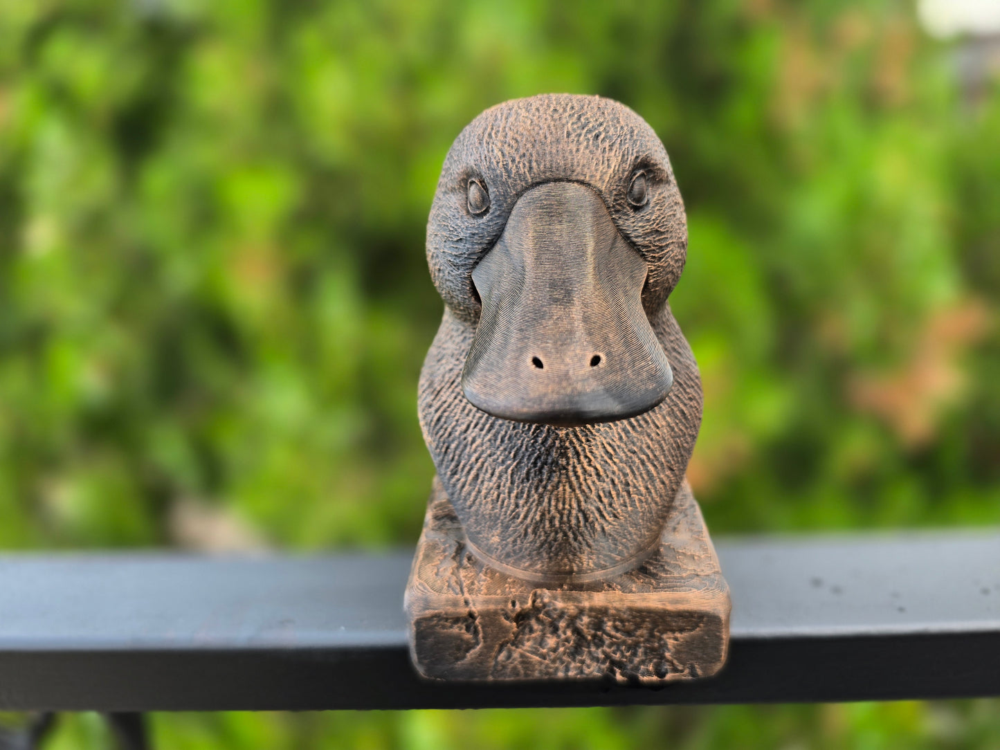 Platypus Bust
