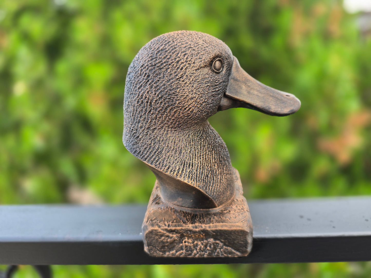 Platypus Bust