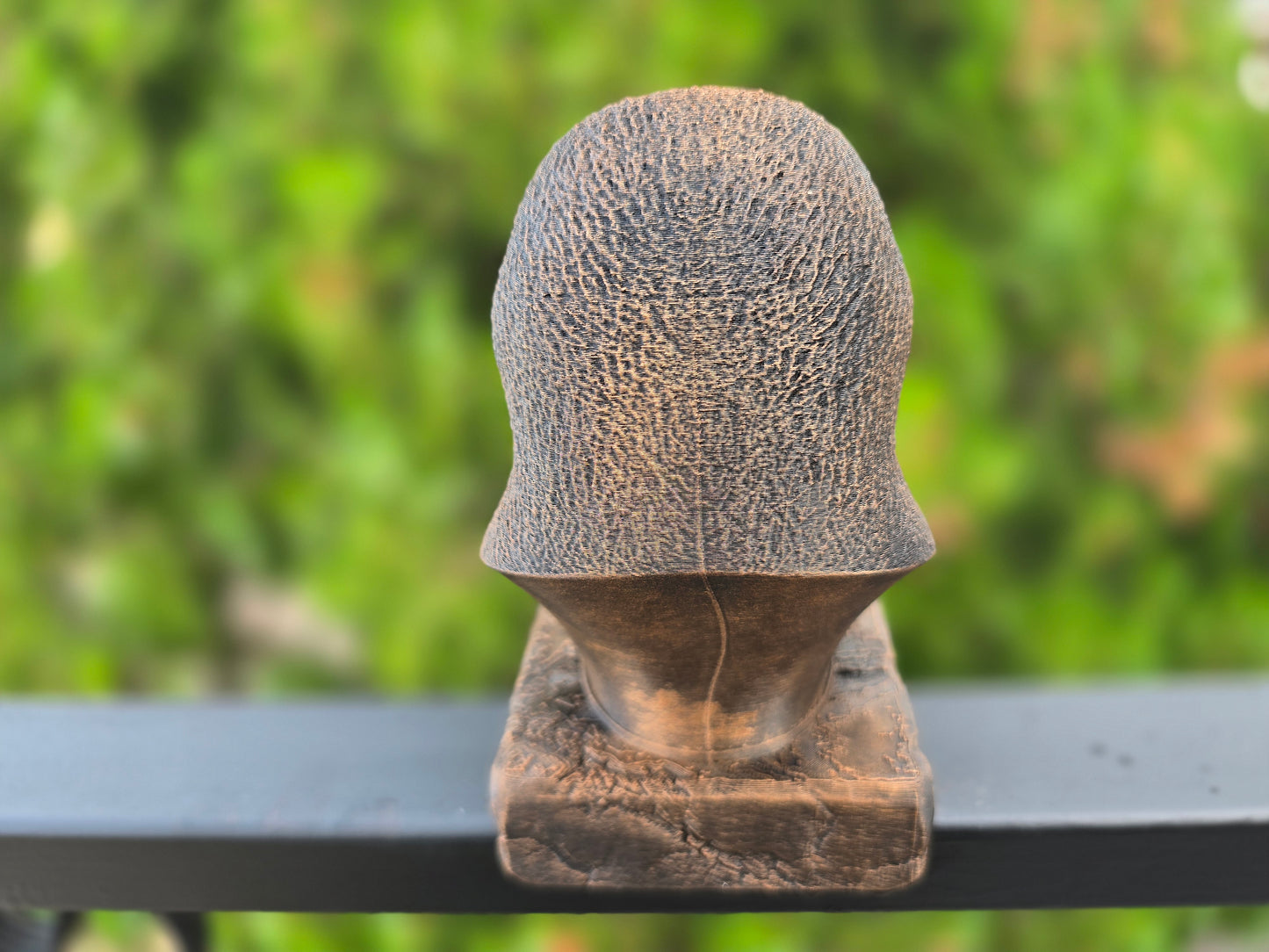 Platypus Bust