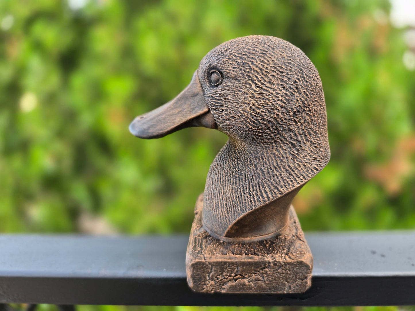 Platypus Bust