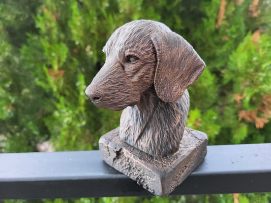 Plott Hound Bust