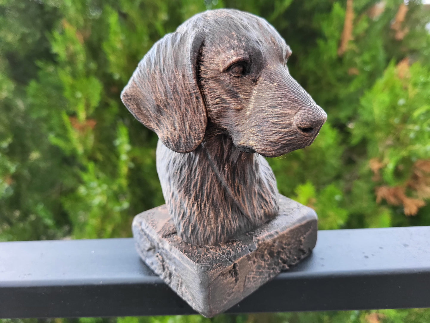 Plott Hound Bust