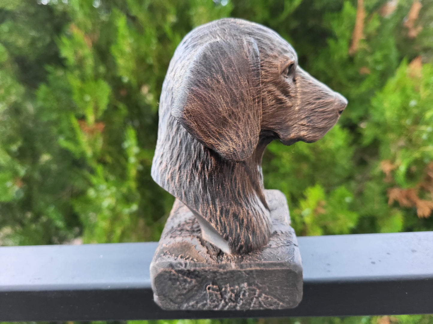 Plott Hound Bust