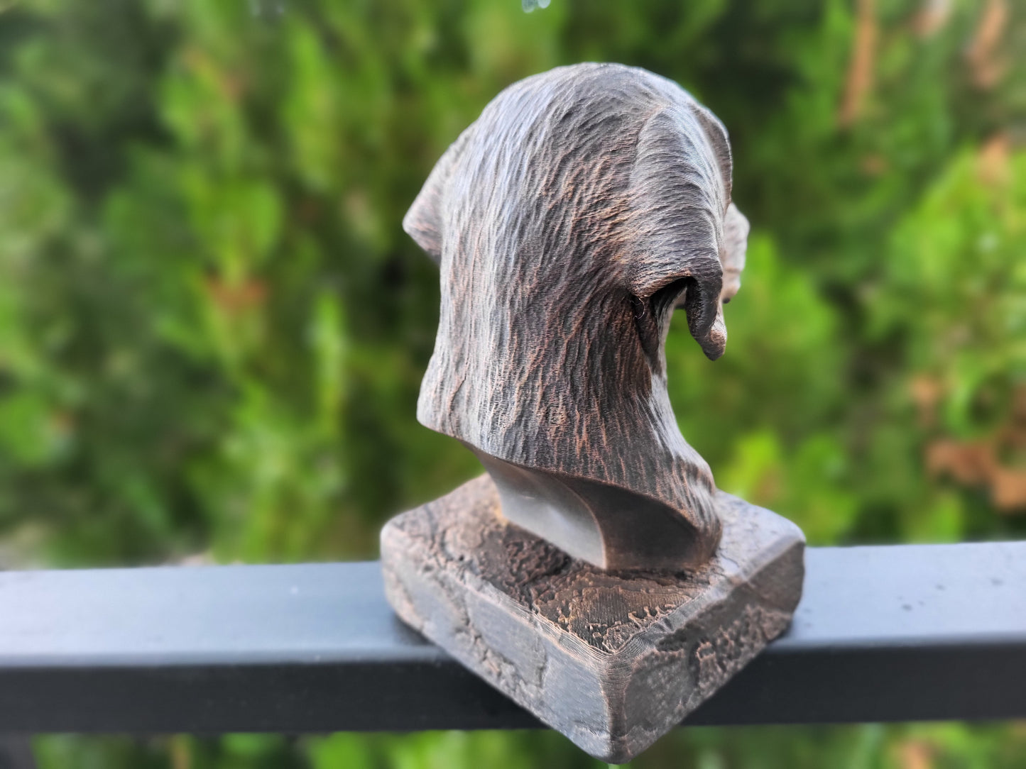 Plott Hound Bust