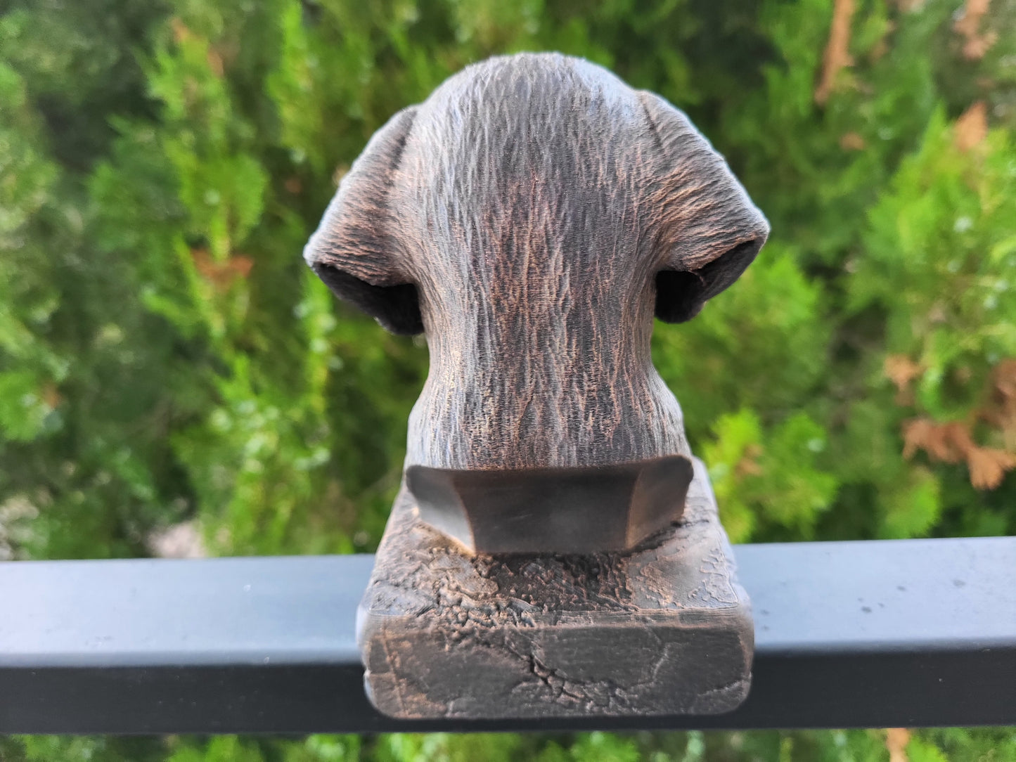 Plott Hound Bust