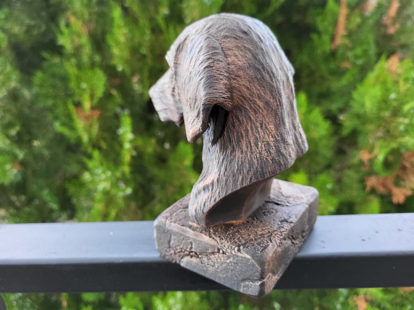 Plott Hound Bust