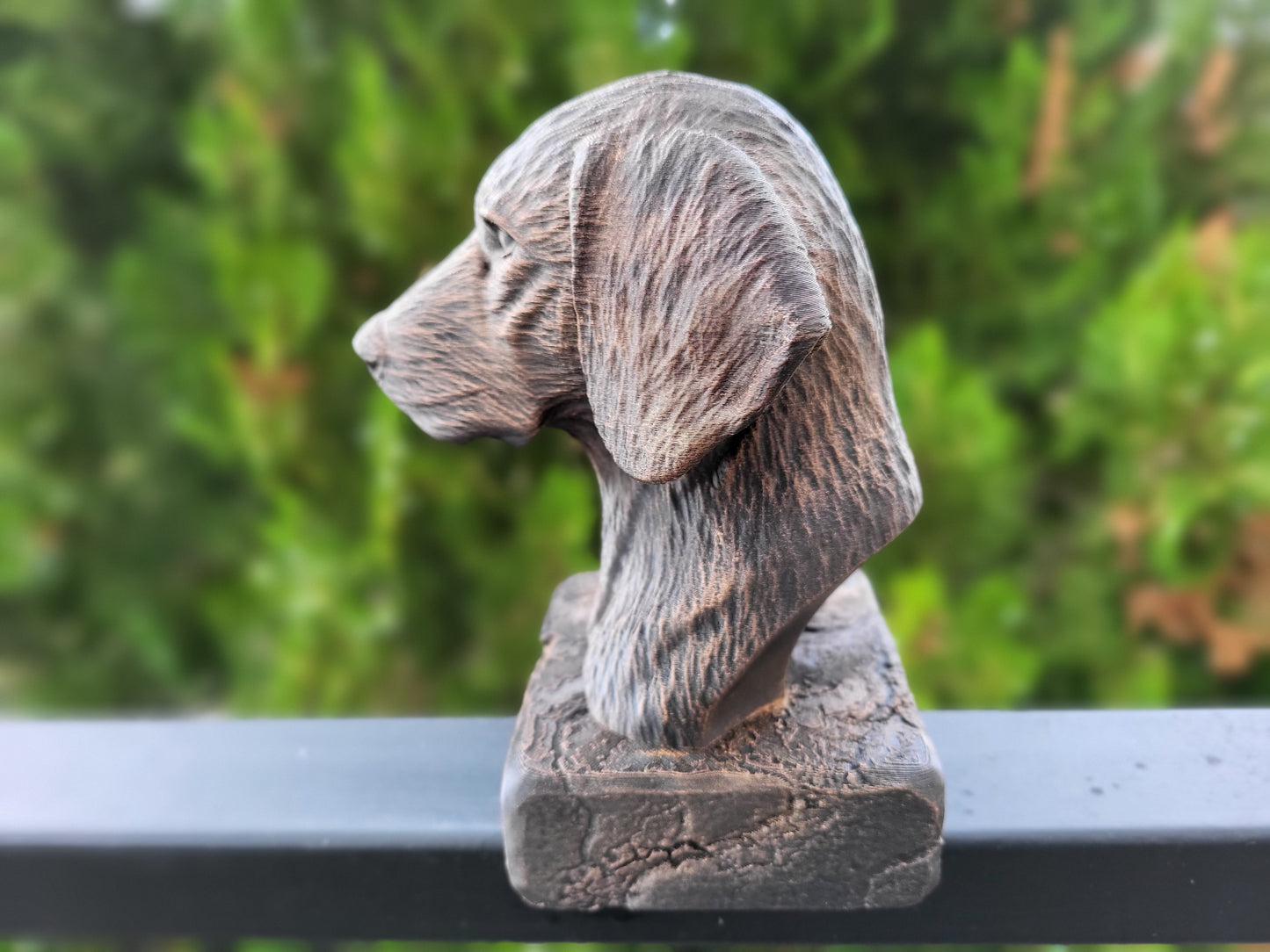 Plott Hound Bust