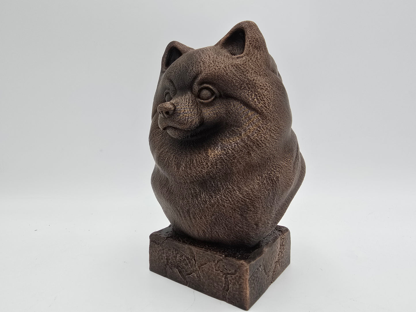 Pomeranian Bust