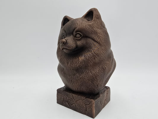 Pomeranian Bust
