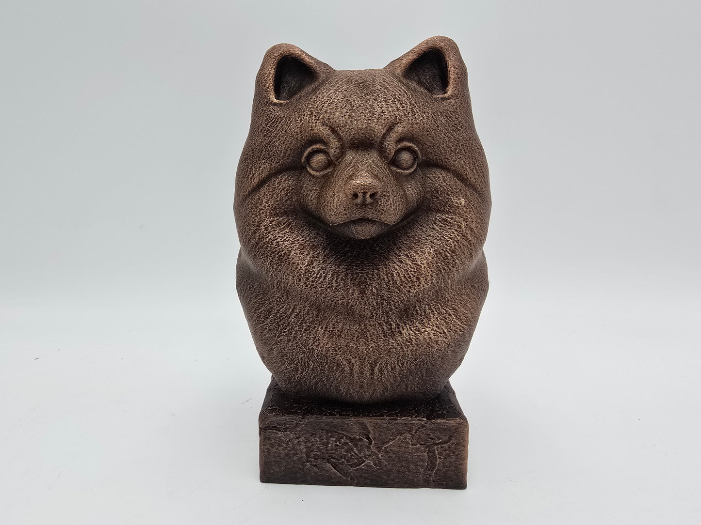 Pomeranian Bust