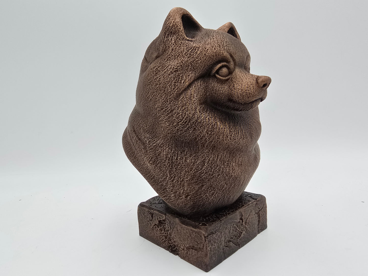 Pomeranian Bust