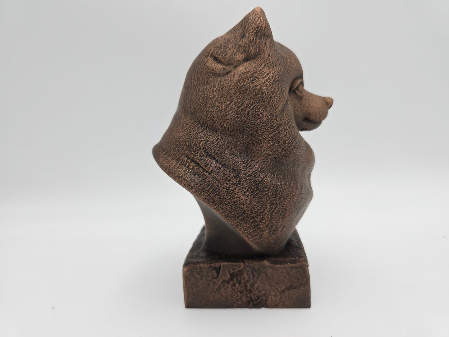 Pomeranian Bust