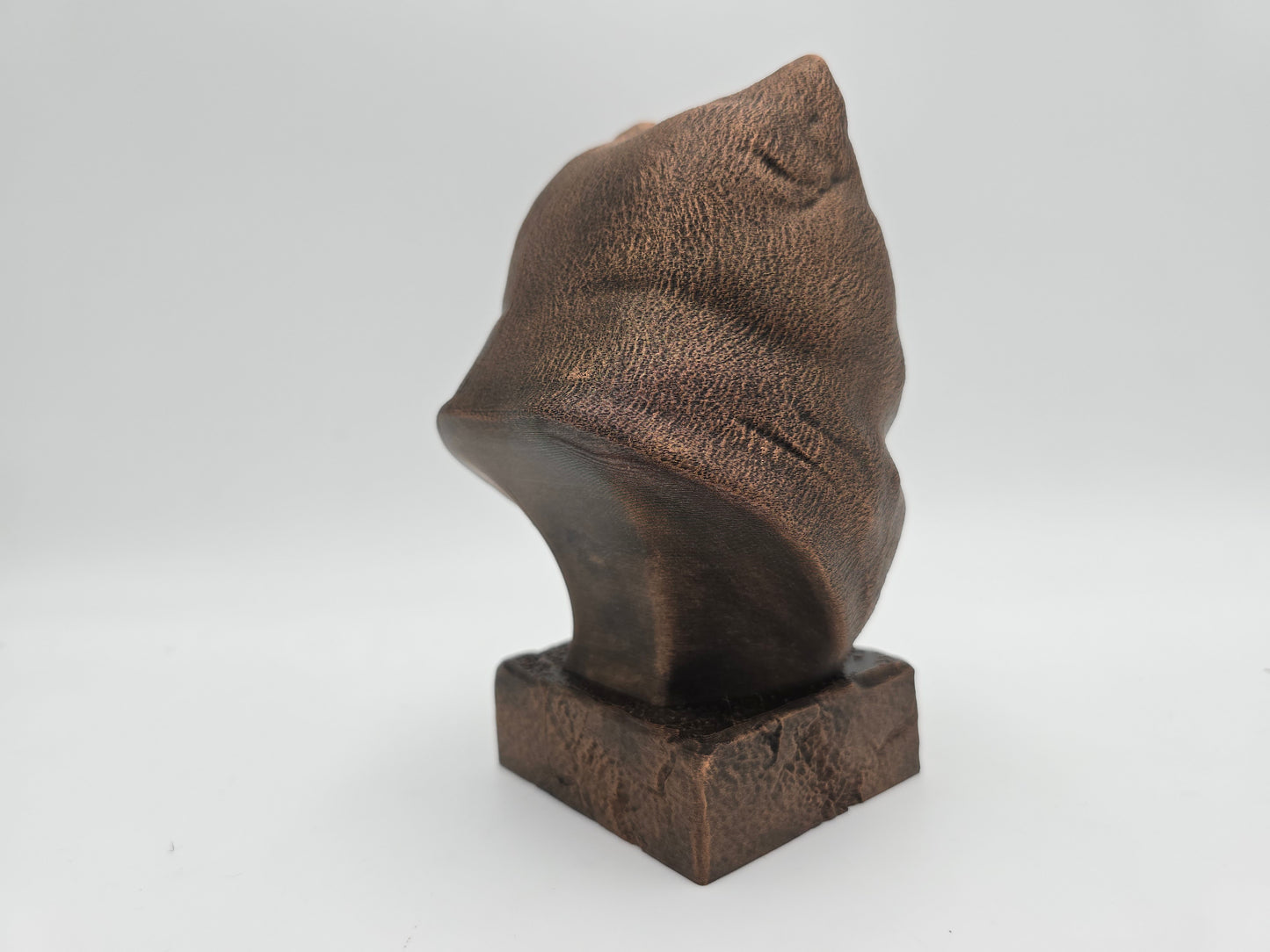 Pomeranian Bust