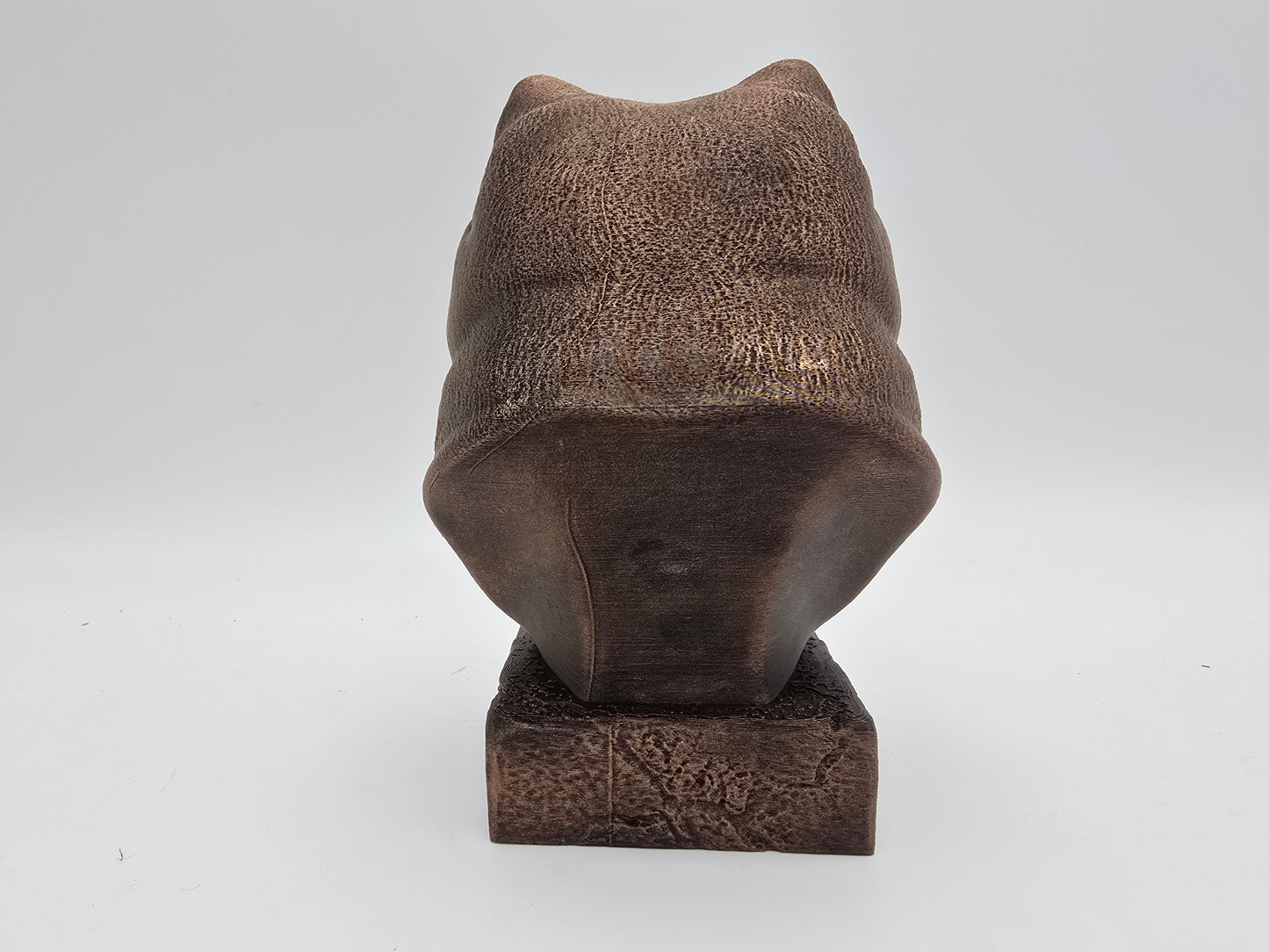 Pomeranian Bust