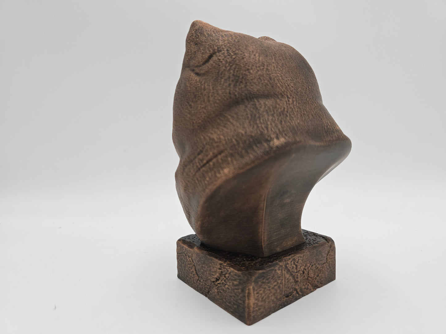 Pomeranian Bust