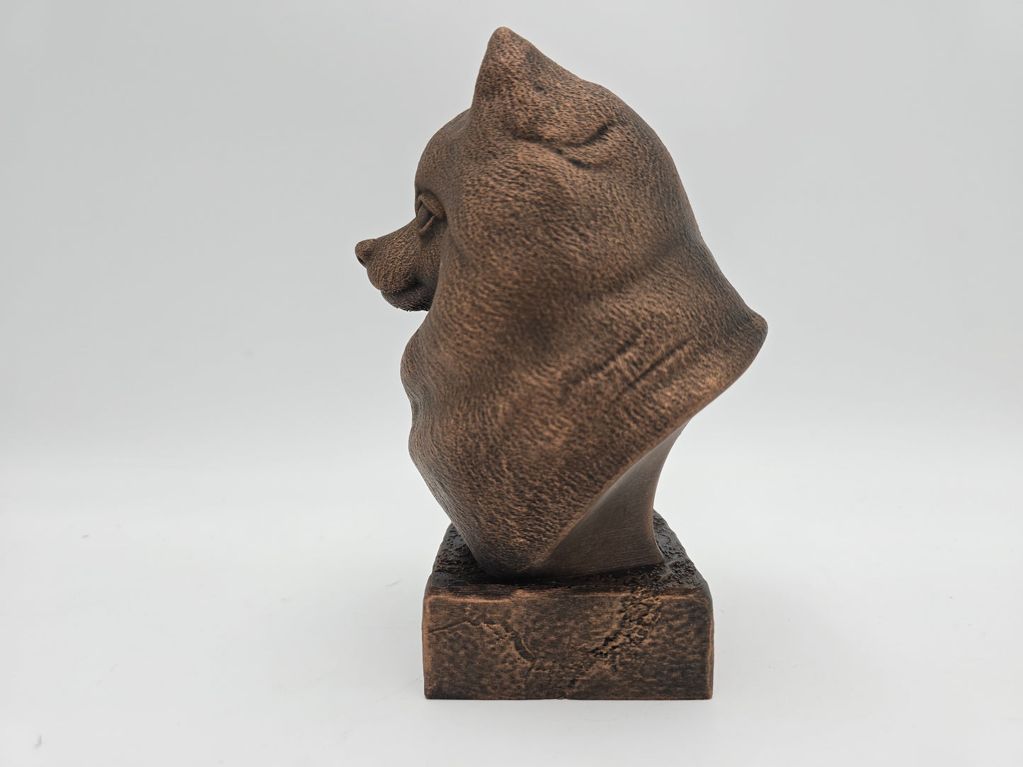 Pomeranian Bust
