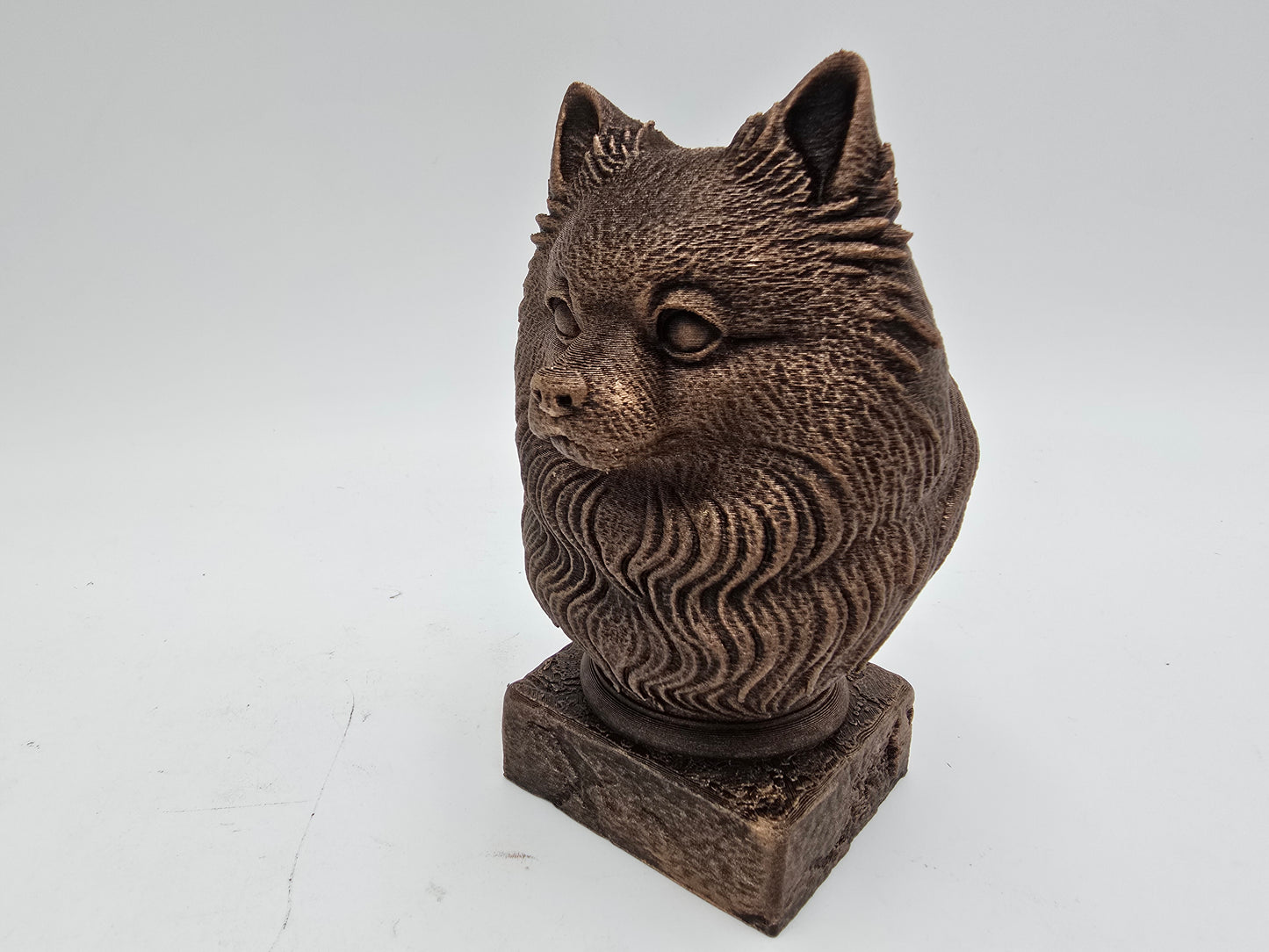 Pomsky Bust