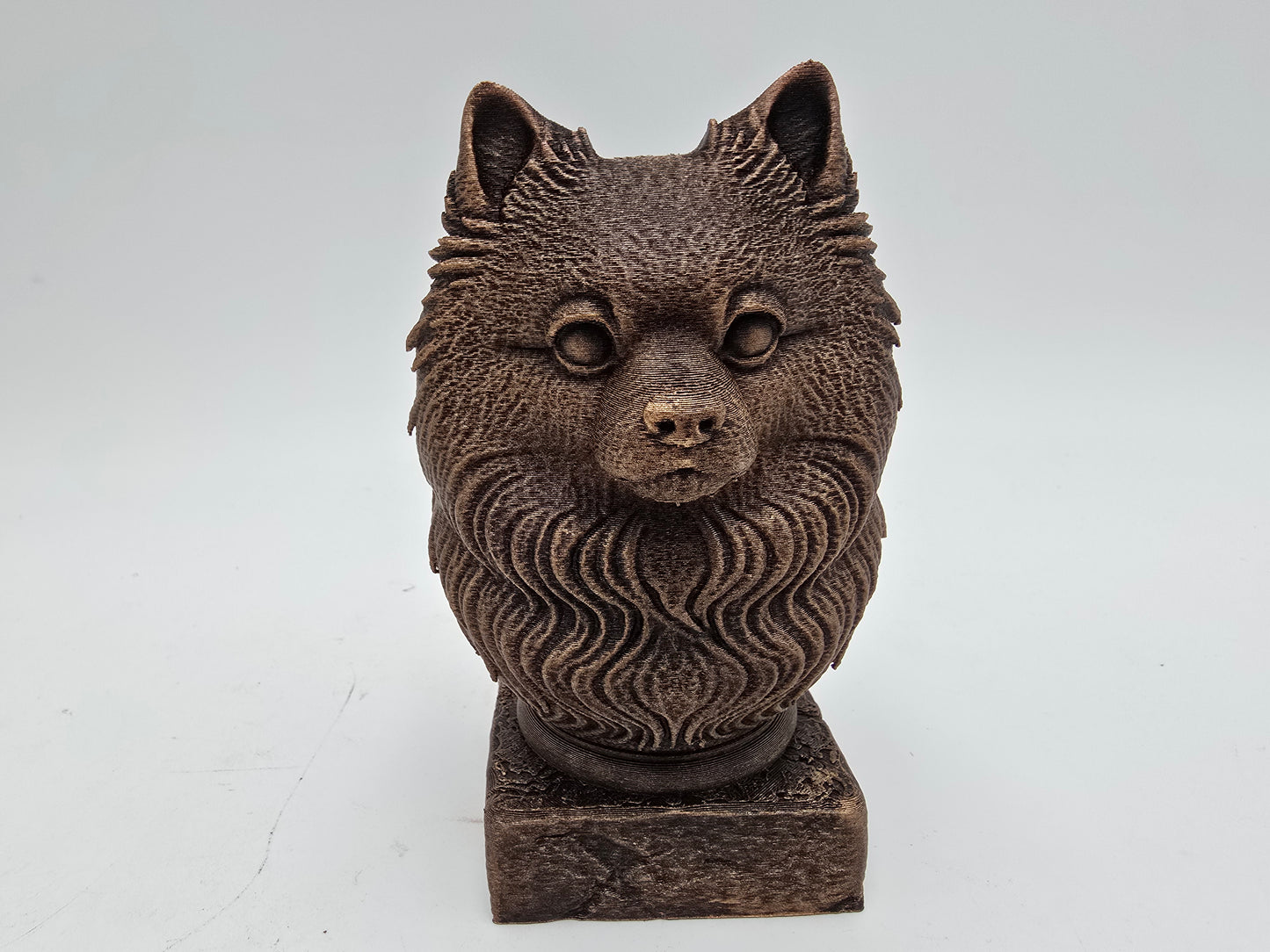 Pomsky Bust