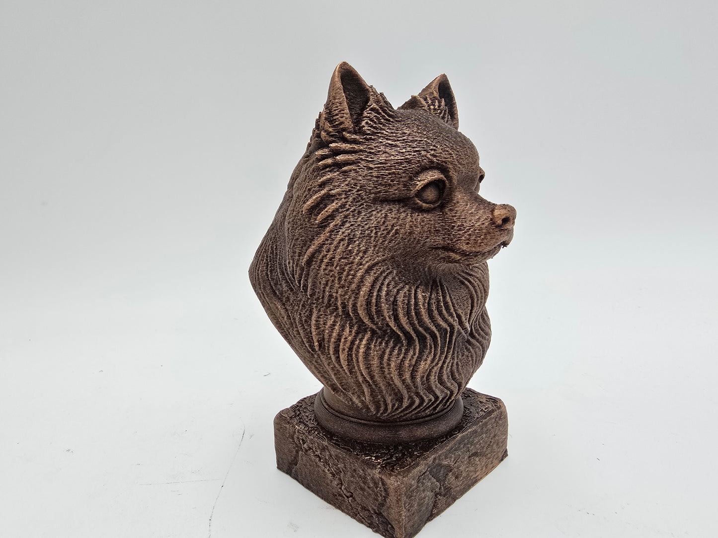 Pomsky Bust