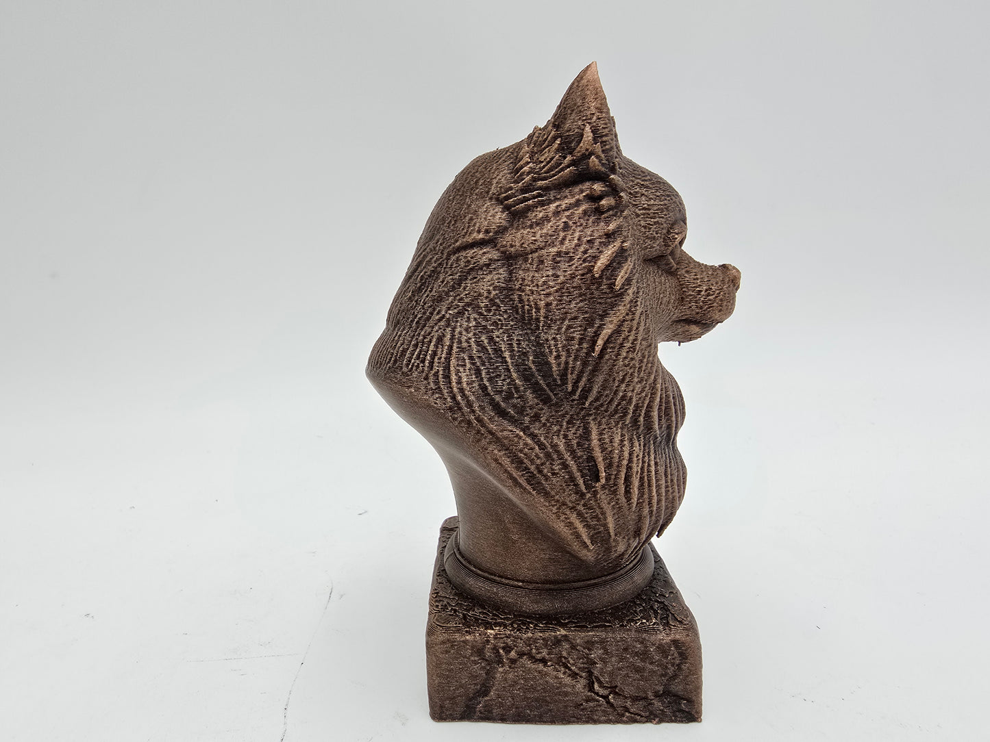 Pomsky Bust