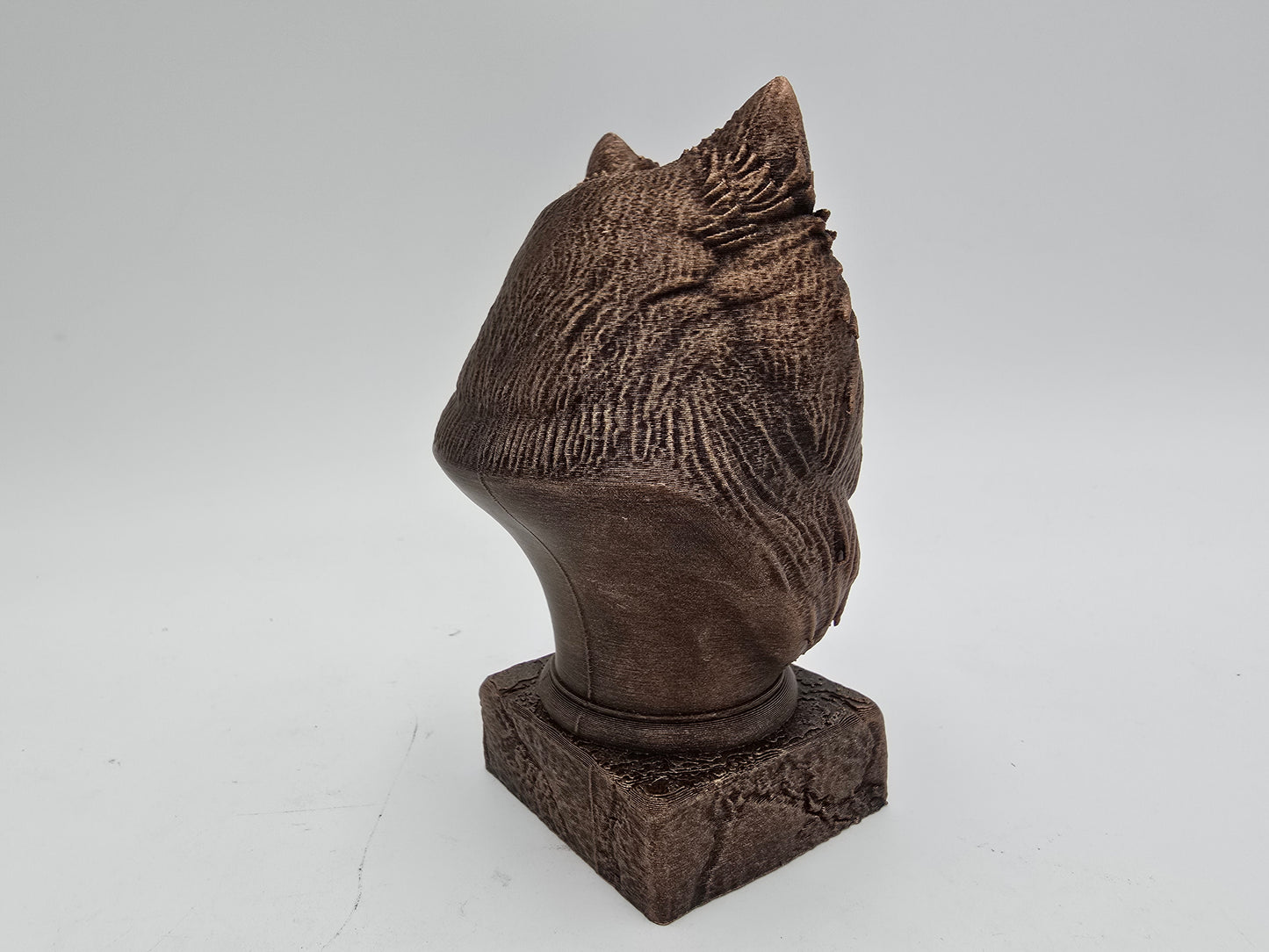 Pomsky Bust