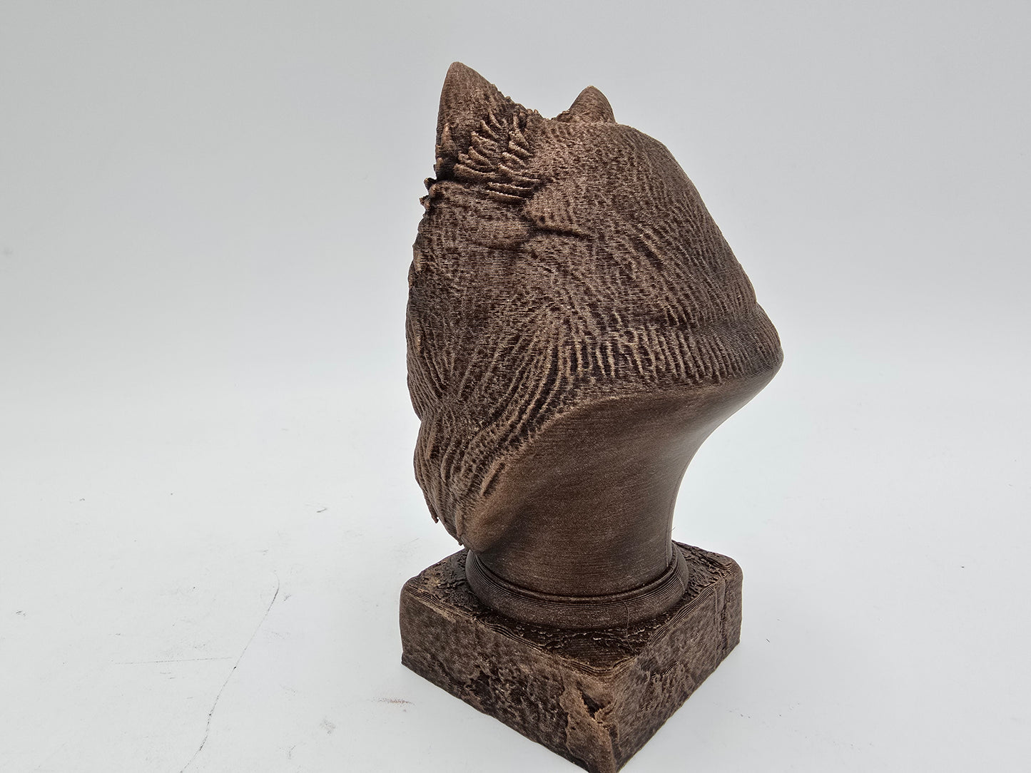Pomsky Bust