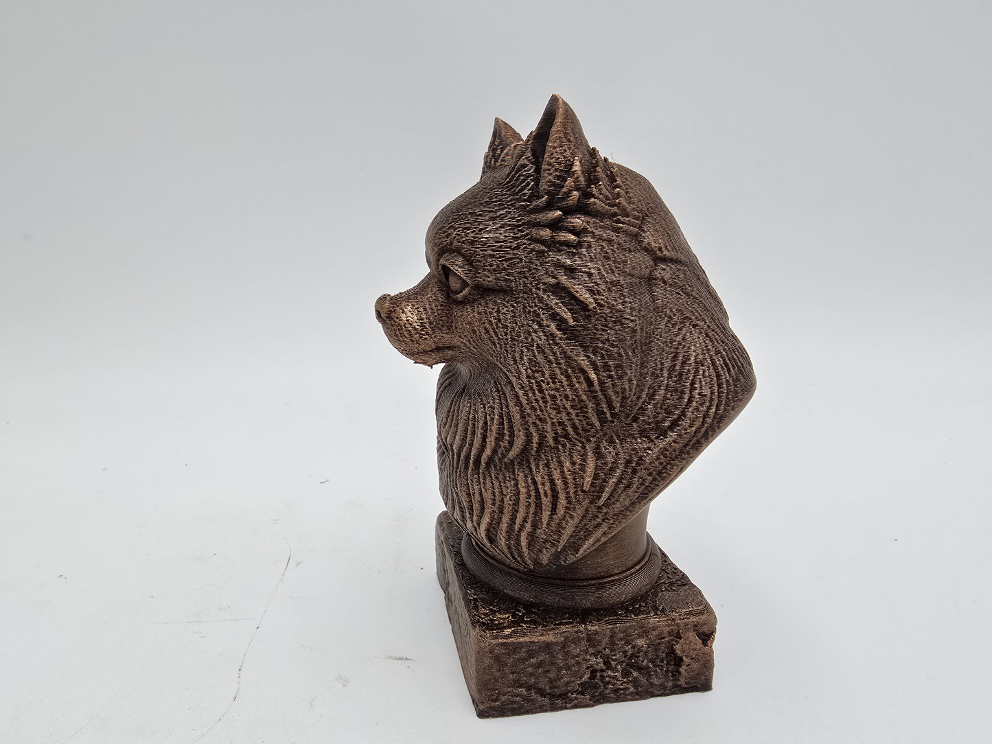 Pomsky Bust