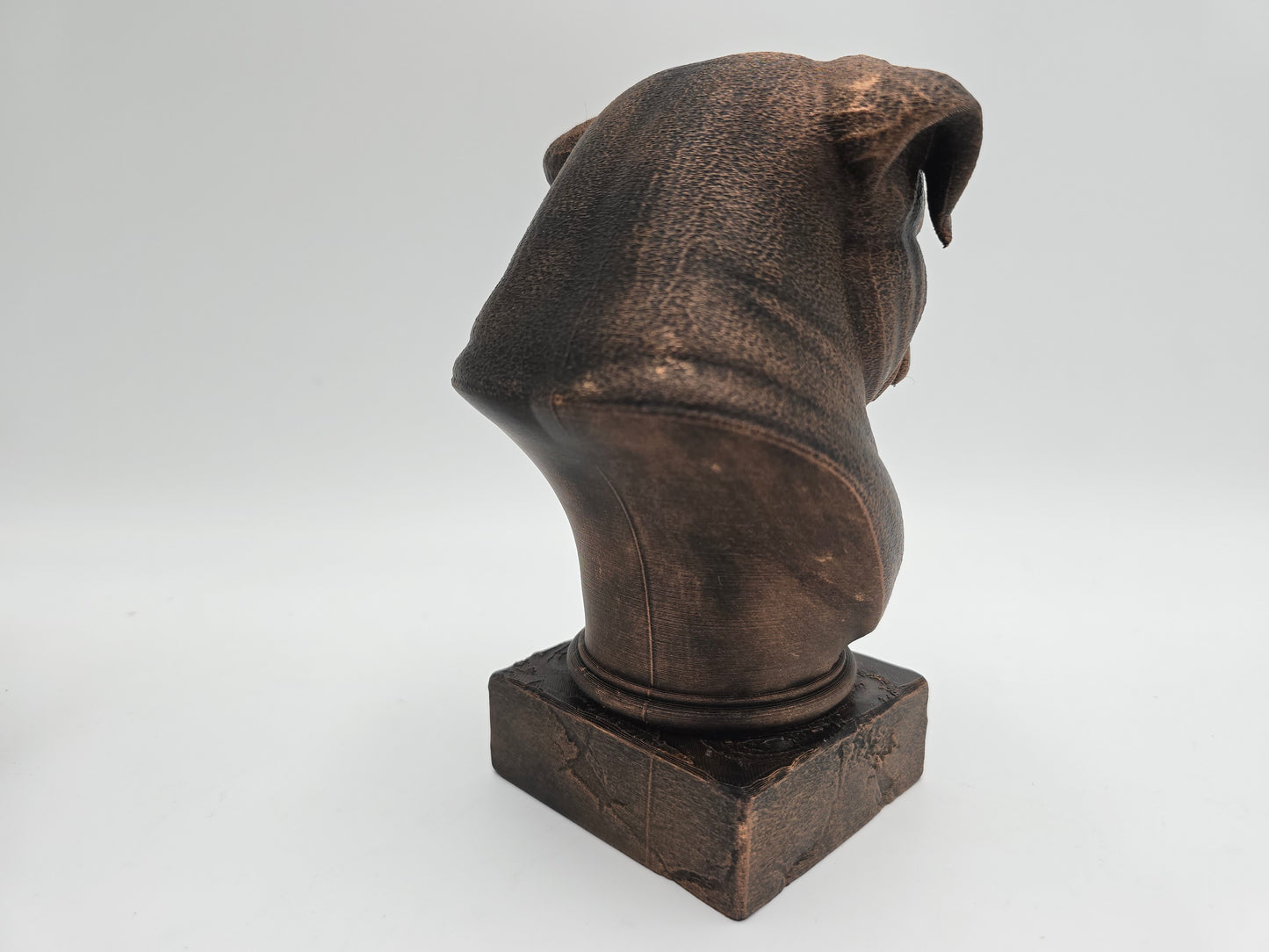 Pug Bust