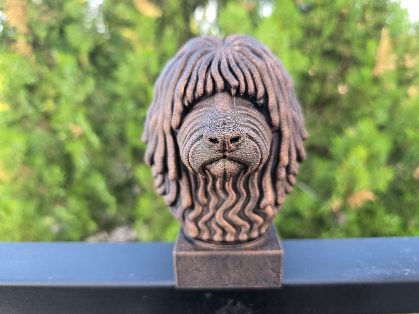 Puli Dog Bust